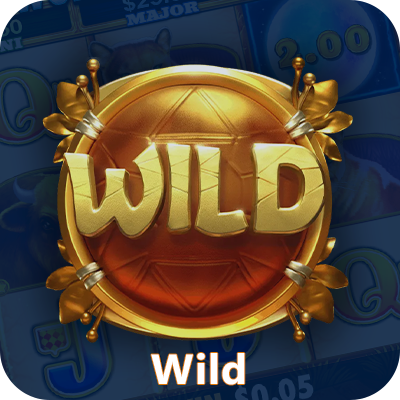 Wild symbol in Australian real money pokies