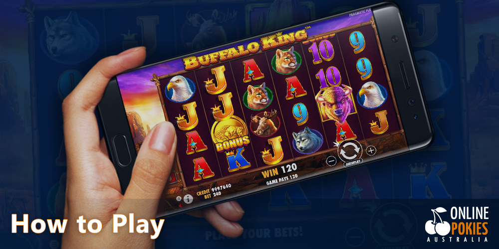 Step-by-step instructions on how to start playing Buffalo King Pokie