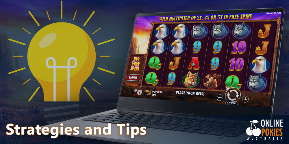 Use our tips and strategies for playing Buffalo King