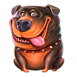 Chunky Rottweiler symbol in The Dog House pokie