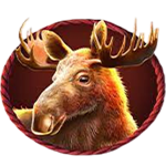 Moose symbol in Buffalo King Pokie