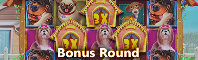 Bonus Round at The Dog house