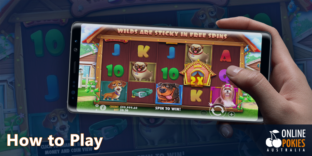 Step-by-step instructions on how to start playing The Dog House Pokie