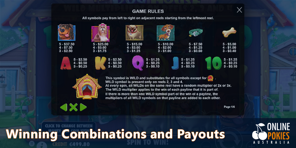 Winning Combinations and Payouts at The Dog House Pokie