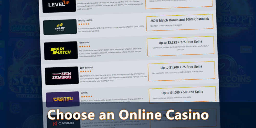 Choose an online casino to play Buffalo King