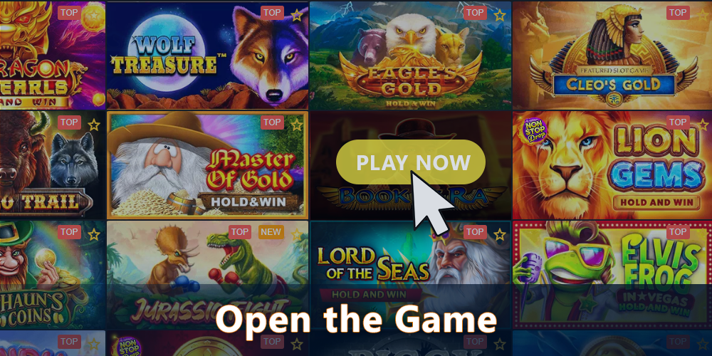 Open the game Book of Ra in the casino lobby