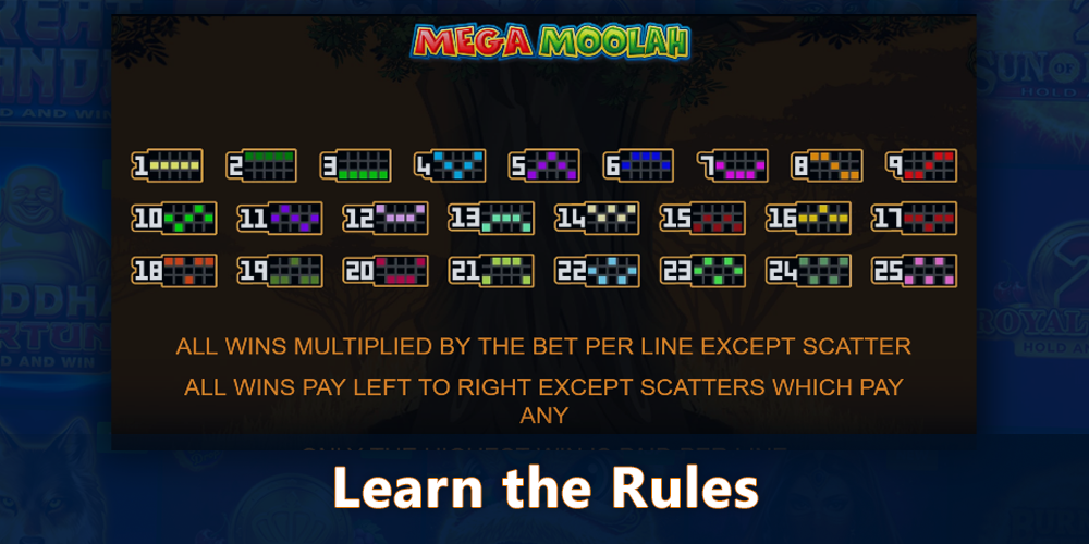 Learn the rules of Mega Moolah before you start playing