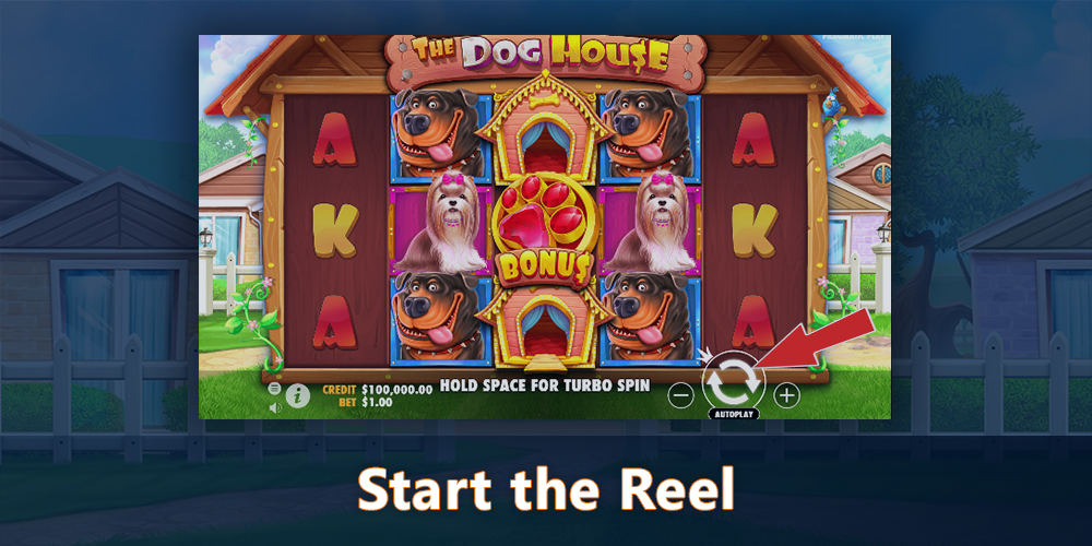Press "Spin" to start playing The Dog House pokie