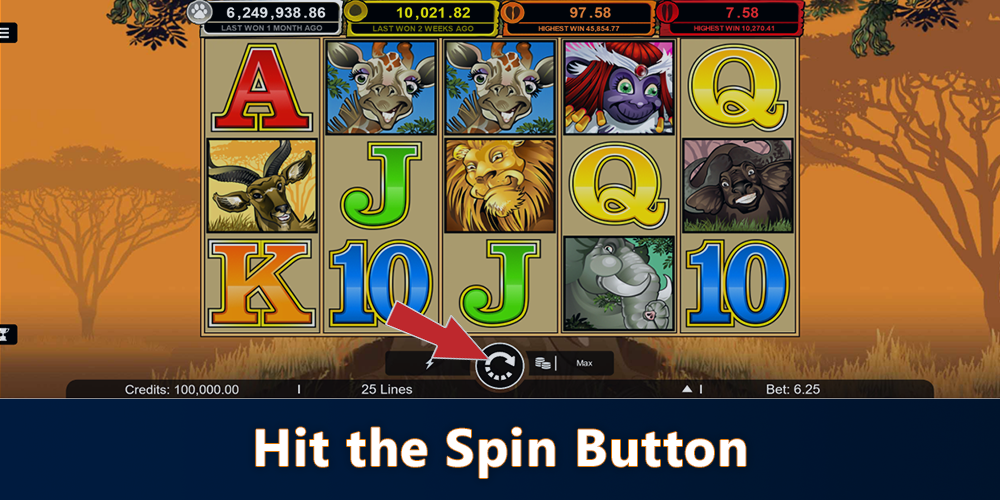 Click the Spin button to start playing Mega Moolah