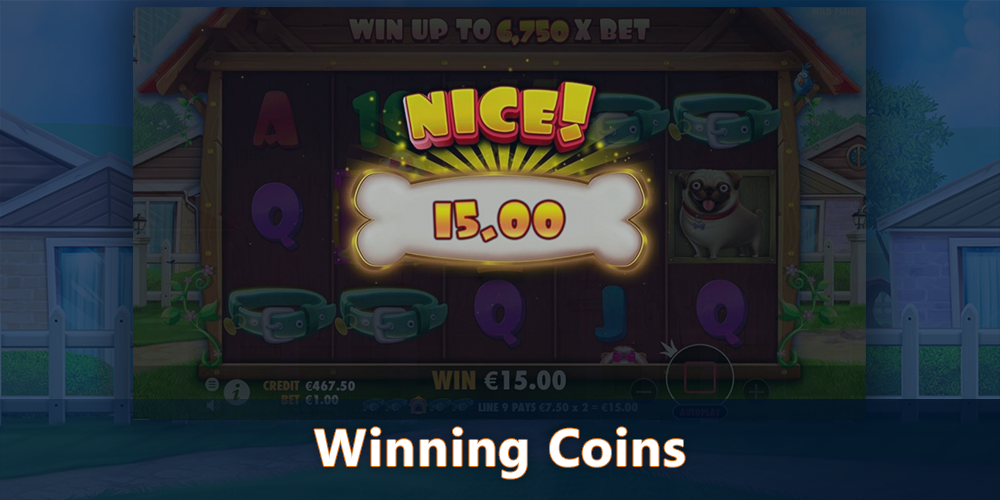 Winnings coins at The Dog House