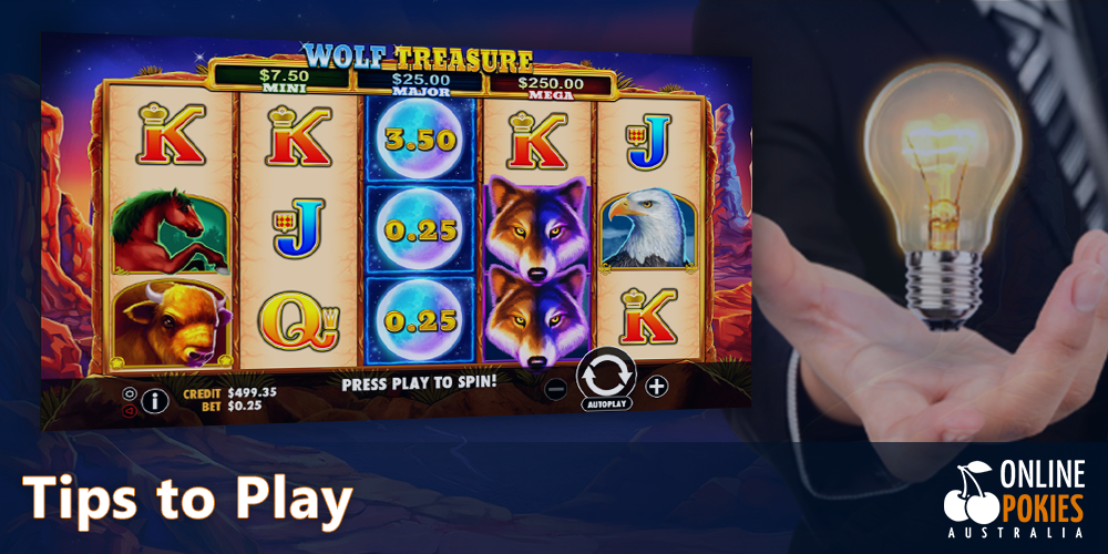 Tips for playing Wolf Treasure Pokie