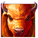 Buffalo symbol