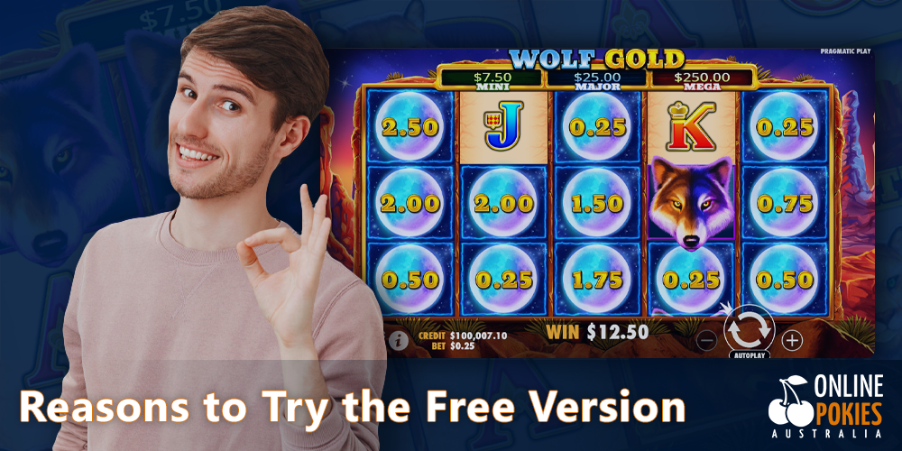 Reasons to play Wolf Gold in demo mode