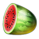 watermelon symbol