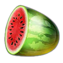 watermelon symbol