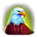 Eagle Symbol