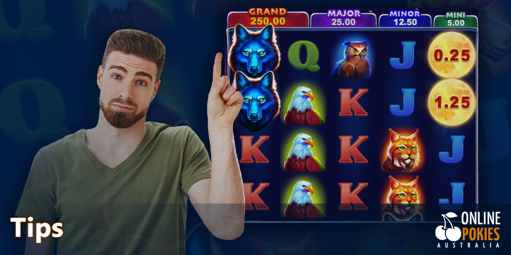 Black Wolf pokie Tips for Aussies