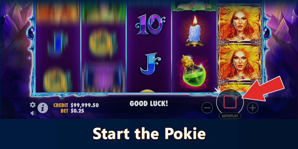 Start playing the Wild Spells pokie