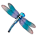 Dragonfly symbol