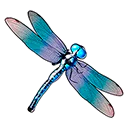 Dragonfly symbol